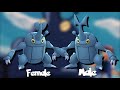 Middle of video