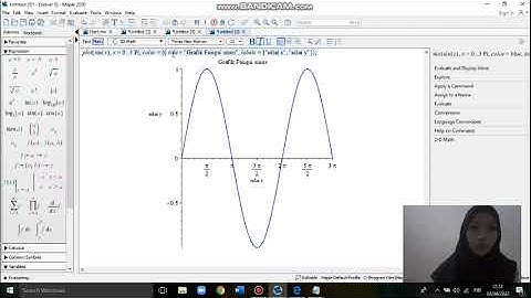 GRAFIK FUNGSI PADA APLIKASI MAPLE