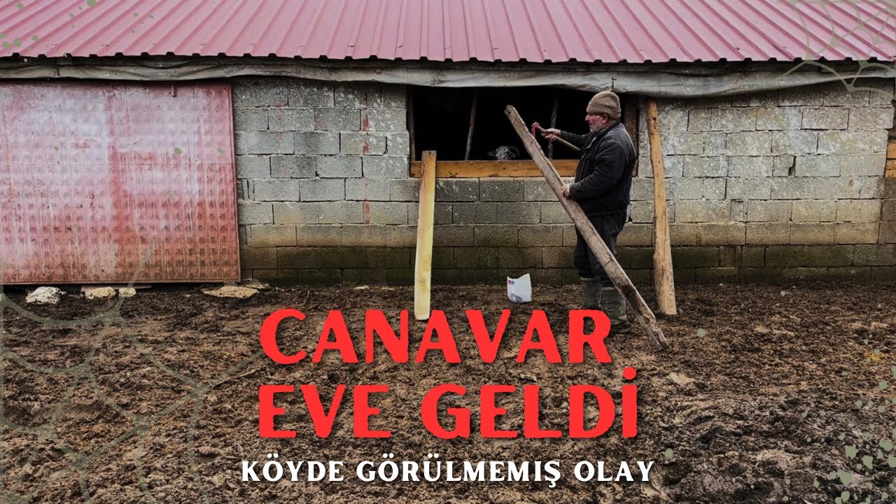 CANAVAR EVE GELDİ! Köy Hayatında Şok Anlar | Shocking Village Life