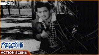 Gudachari 116 Movie Krishna Superb Action Scene Krishna, Jayalalitha Shalimarcinema