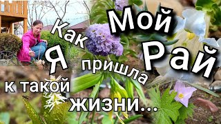 История моего сада! Прогулка и ответы на ваши вопросы 🤗