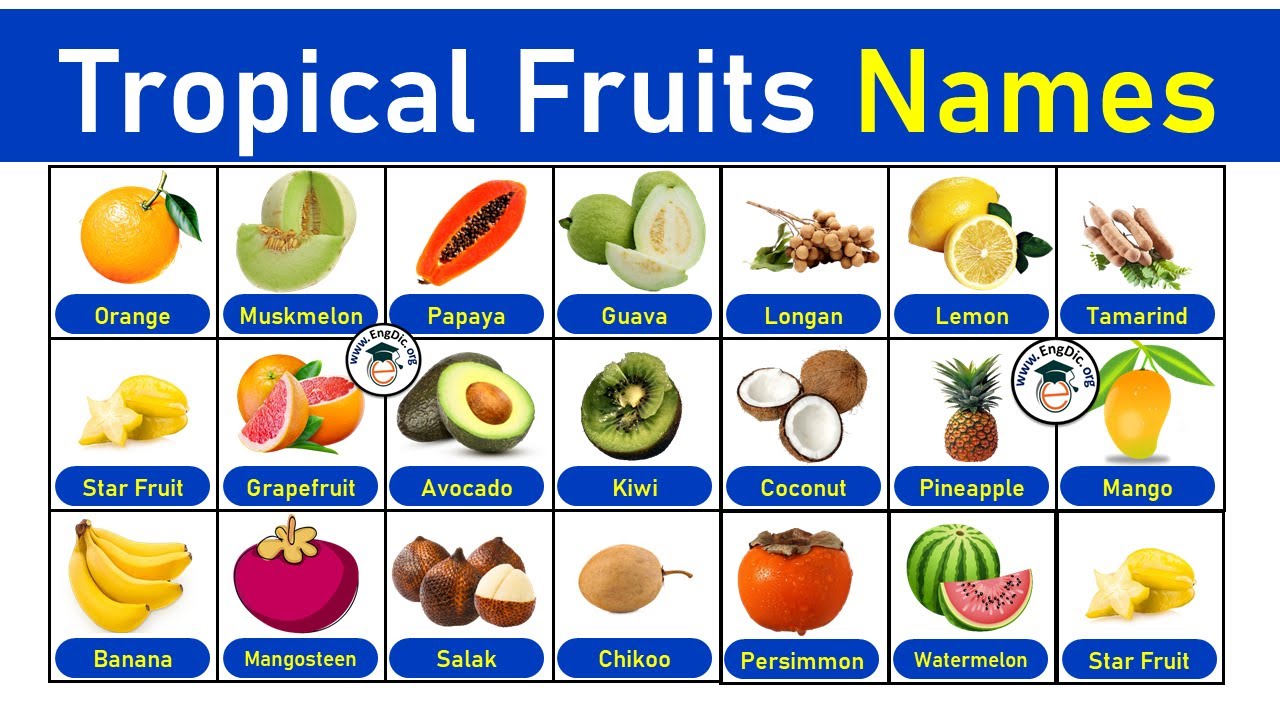 Fruit Names in English - Build Your Vocabulary