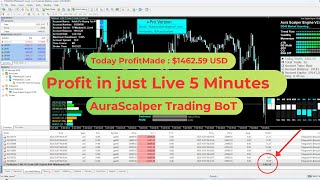 The Best Forex Robot | 18623$ Most Profitable Forex EA Trading Robot of 2025 #forex #trader