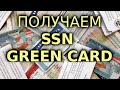 #198: Подаёмся на SSN и получаем Green Card (пластик) по лотерее грин карт.