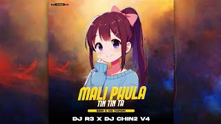 MALI PHULA TIN TIN TA || EDM X CG TOPARI || DJ R3 X DJ CHIN2 V.4