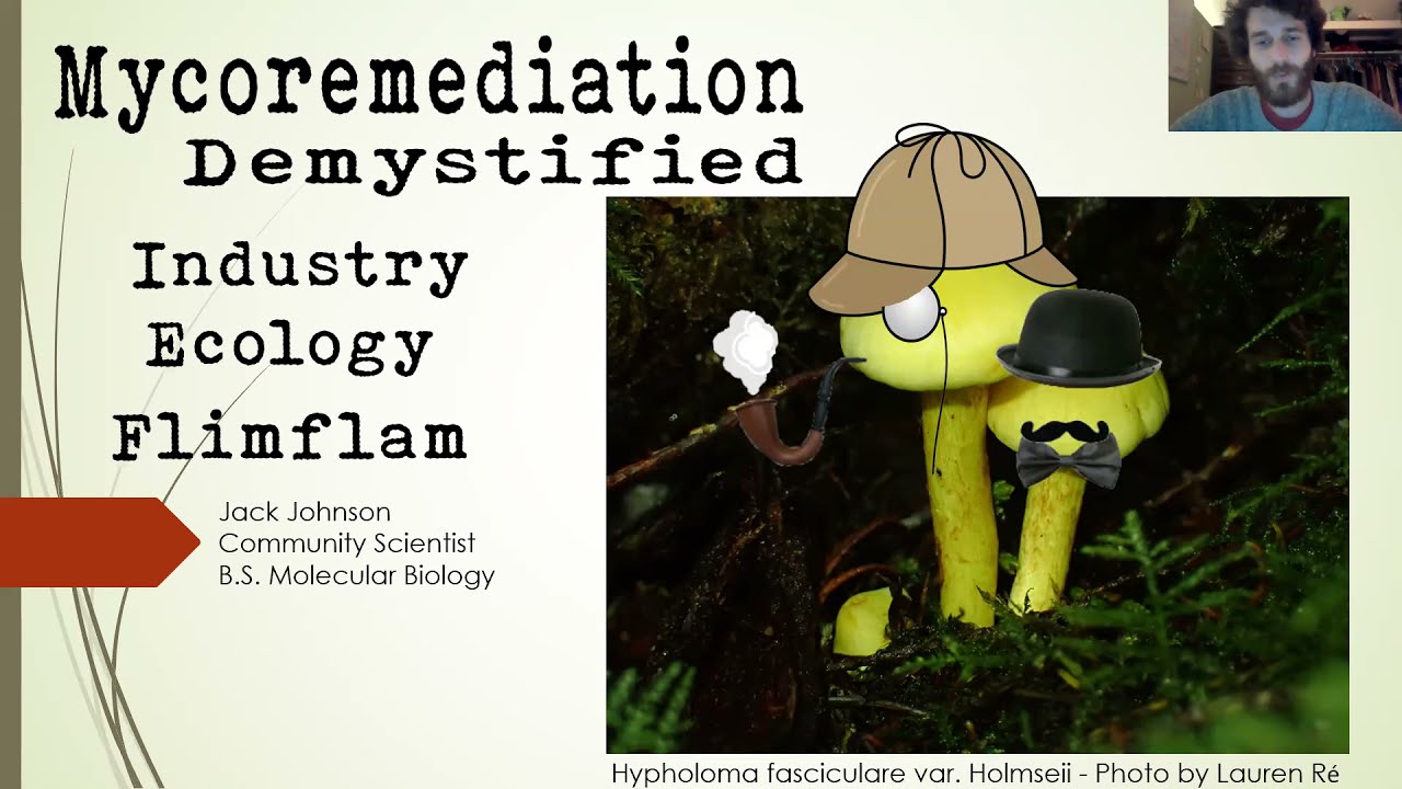 MycoRemediation DeMystified  by Jack Johnson, South Sound Mushroom Club ~  10-16-21