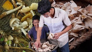 Download Lagu 一年此时,肉厚鲜甜的夏至菌裂土而出。于曙光熹微时寻觅。鲜甜的味道,是土地深深的情意 MP3 Download Lagu 一年此时,肉厚鲜甜的夏至菌裂土而出。于曙光熹微时寻觅。鲜甜的味道,是土地深深的情意 MP3