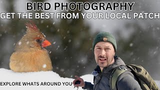 The KEY to good BIRD PHOTOGRAPHY | Fieldcraft | Patience | And HOW TO BEST know your local Patch