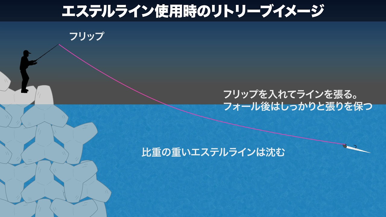 初心者必見!! アジング完全マニュアル〜エキスパート上杉貴人が釣果