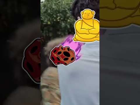 Buddha use is bloxfruit🤪