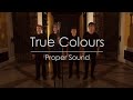 True colours  proper sound barbershop quartet