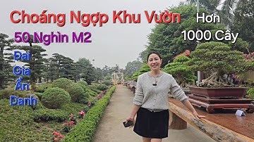 CHOÁNG NGỢP khu vườn RỘNG 50 nghìn M2 , Cây Cảnh Hơn 1000 Tp - BẬT MÍ GIAO DỊCH 20 TP DUỐI .