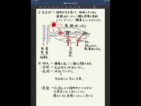 中一理科 植物のからだのつくりとはたらき Youtube 中一理科 植物のからだのつくりとはたらき Youtube
