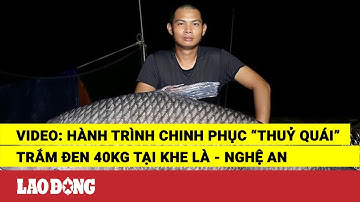 Video: Hành trình chinh phục “thuỷ quái” trắm đen 40kg tại Khe Là - Nghệ An | Báo Lao Động