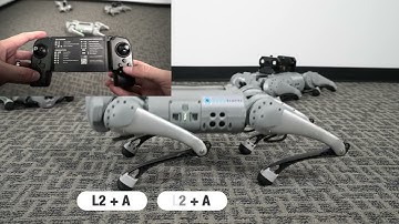 RoboStore | How to power off the Unitree Go1