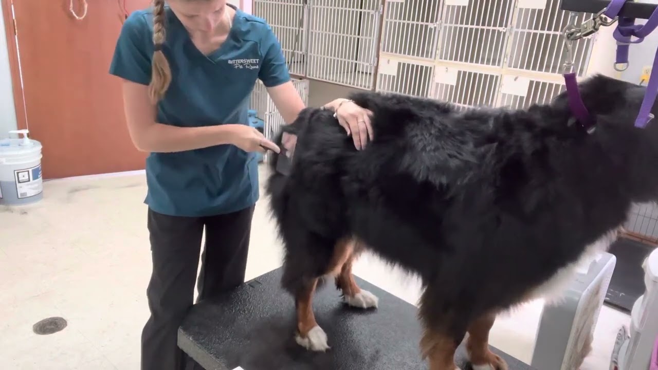 Pat pull method YouTube