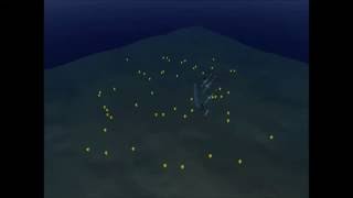 aMussels congregating (simulation) screenshot 2