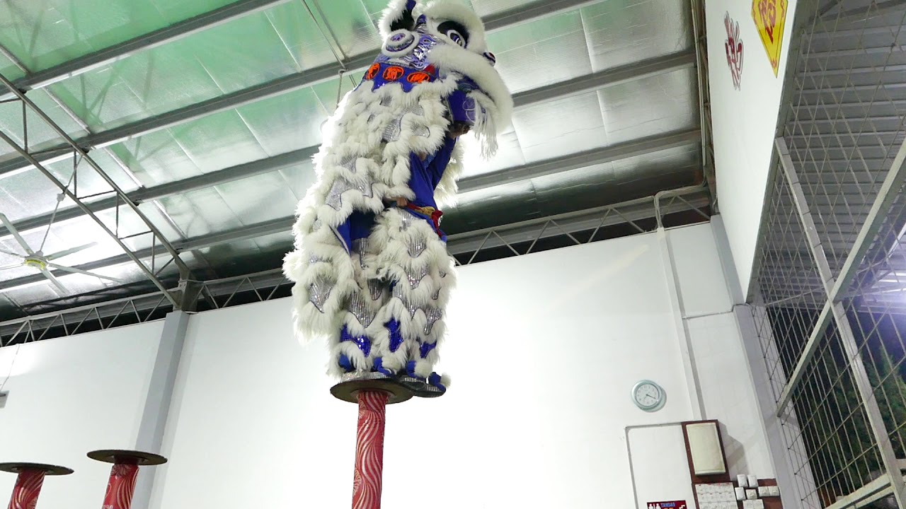 拿笃德教会紫瑜阁醒狮团 @ 2019 德教会紫瑜阁新春晚会