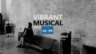 Vibrant Musical Way - IPR's guests playing Accordion