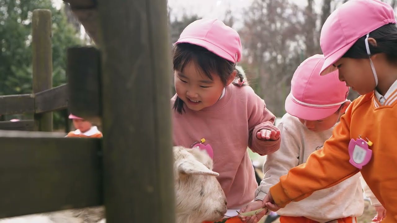 東京ゆりかご幼稚園 冬の日常