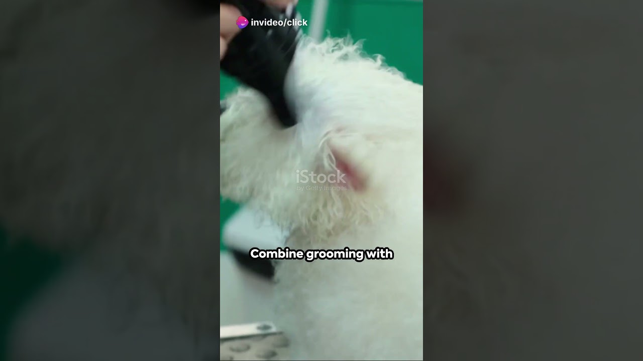 Pet Hair Rechargeable Trimmer and hair dryer