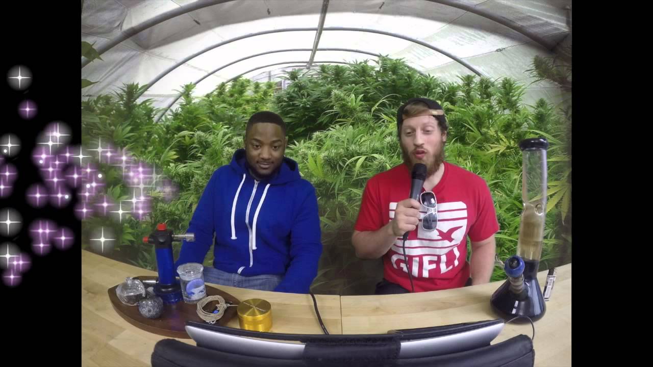 Marijuana TV New Merchandise - The 