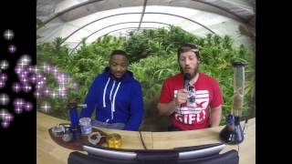 Marijuana TV New Merchandise - The #iGreenLife Movement, Legalize it on Scientific Health Facts