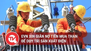 EVN xin giãn nợ tiền mua than để duy trì sản xuất điện | Truyền hình Quốc hội Việt Nam
