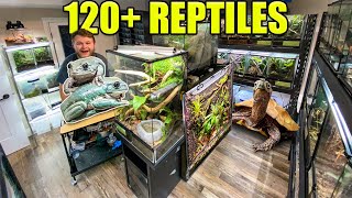 120+ PET REPTILES & AMPHIBIANS in one room!! | Reptile Room Tour Sept 2023