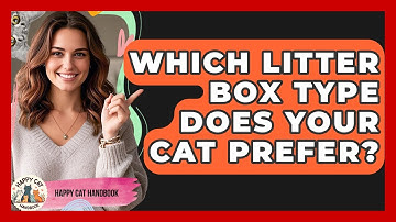 Which Litter Box Type Does Your Cat Prefer? - Happy Cat Handbook