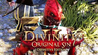 :  Divinity: Original Sin 2#2