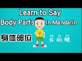 Body Parts in Chinese Mandarin,我的身体,身体部位词卡,教学词卡,Mr Sun Mandarin