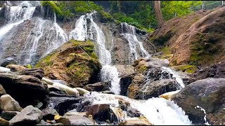 Soothing Waterfall ASMR: 11 Hours of Bliss for Stress-Free Sleep | LuLu Sounds