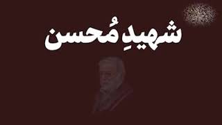 شہیدِ مُحسن | شہید مُحسن فخری زادہ