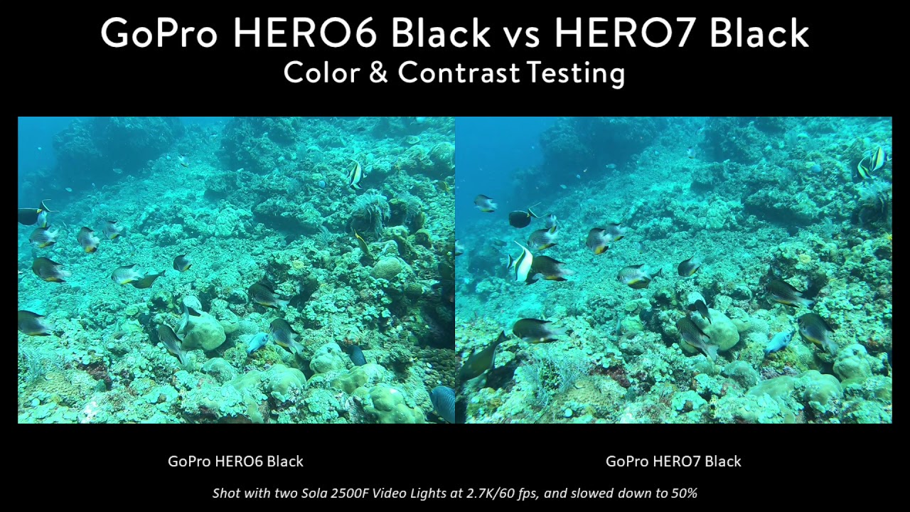 Gopro Hero 7 Underwater Camera Review Underwater Photography Guide