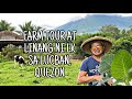 LINANG NI L.K. AT LUCBAN,QUEZON | BRAZO DE KALABASA | BASIC FARMING TECHNIQUES | ORGANIC FOOD