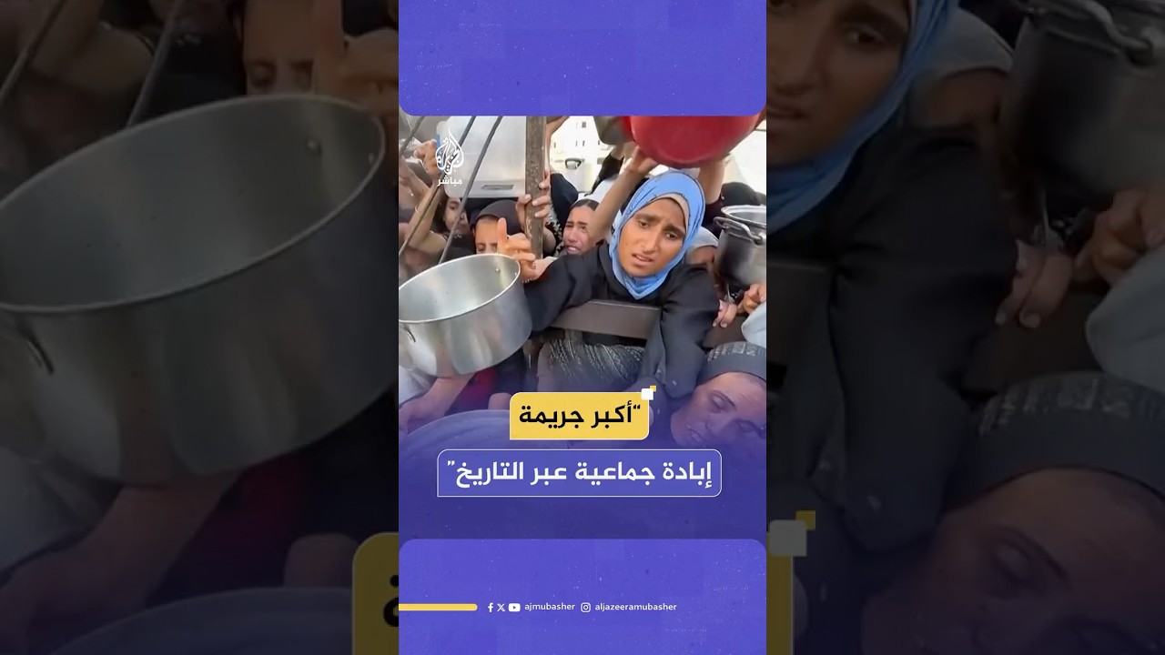 جمهور الجزيرة مباشر يعلق على استشهاد أكثر من 70 طفلا بسبب حرب التجويع في قطاع غزة