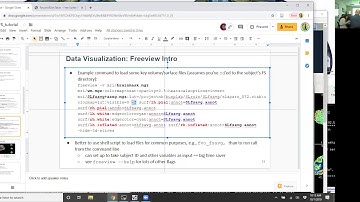 Freesurfer Color Mapping and Scripting Part 1