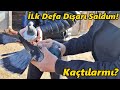 İlk Defa Sırb Güvercinlerini Dışarı Saldım!-/Gurka Yeni Yer!#Tekirdağ#tavuk#güvercin#horoz#hindi