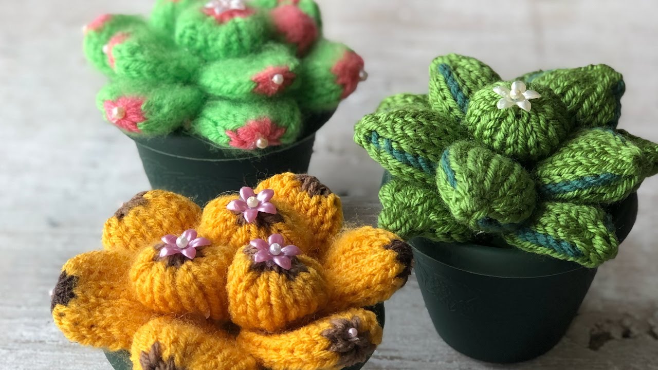 LOOM KNIT Succulent Cactus Plants Pattern - Easy Round / Cirular Project :  Loomahat