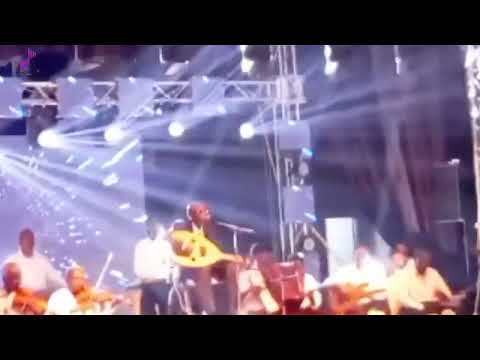 محمد الامين مراكب الشوق حفله 14 8 2022 