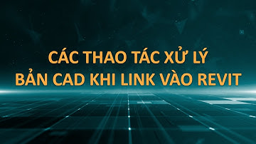 DSCONS | C9 - Luôn xử lý bản Cad trước khi đưa vào Revit