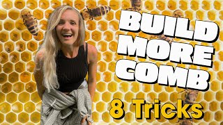 8 Tricks To Encourage Your Bees To Build More Comb EVEN IN JULY! #beekeeping