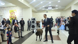 картинка: 1 КОЙ! БАШ БАЙГЕГЕ КОЮЛДУ| КИМ УТАТ БОЛДУ ЭКЕН.1 SHEEP WAS PLACED FOR THE MAIN PRIZE