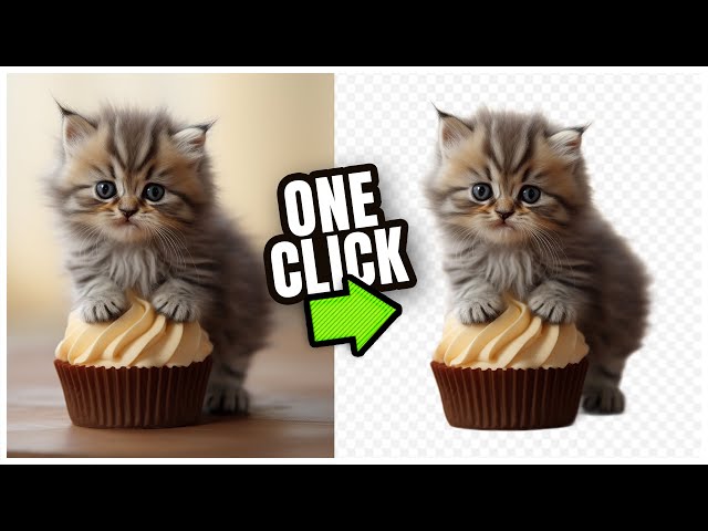 The Best FREE Background Removal Tool (Photopea Tutorial) class=