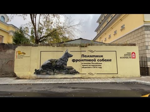 Граффити в Москве. Памятник фронтовой собаке.