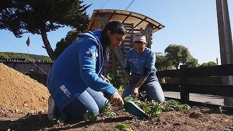قطر و شیلی دست به دست هم داده‌اند تا بذرهای میراث را بکارند و سنت‌ها را به تصویر بکشند