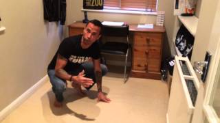 Body weight exercises - ZUU Half Hindu