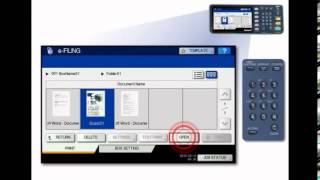 Print Stored e-File Documents