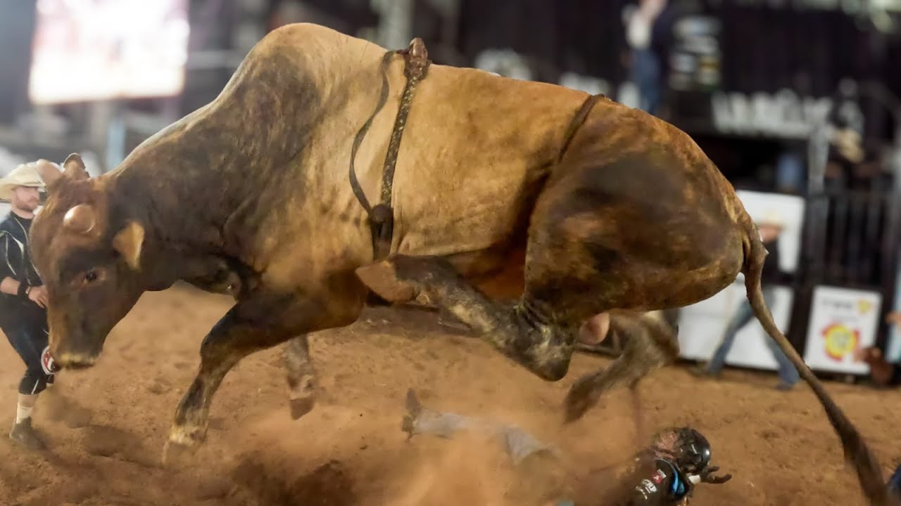 FINAL EM TOUROS - Rodeio de SANTA MARIANA Agro Fest 2025 (Oficial 4K)